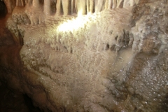 CIMG4333_neu