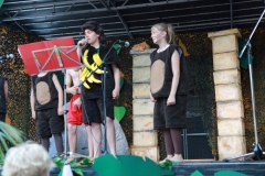 _Z1A0637_(Andere)