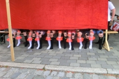 CIMG7711_(Small)